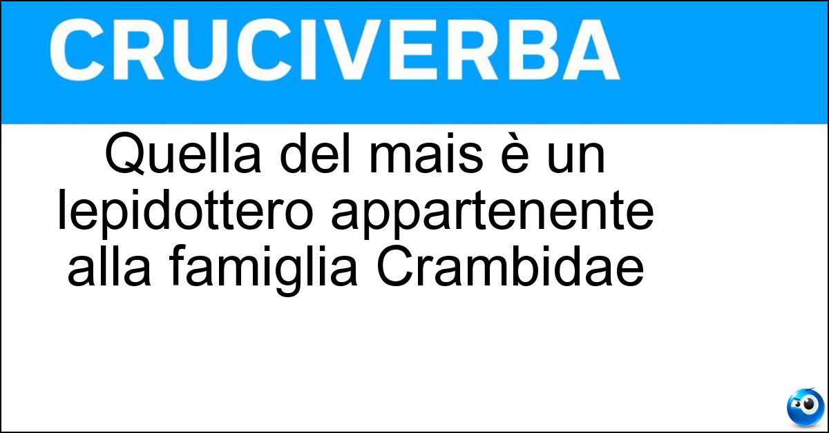 Soluzione Quella del mais è un lepidottero appartenente alla famiglia Crambidae - Piralide