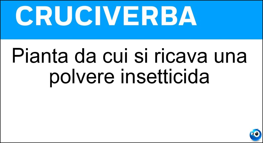 Pianta da cui si ricava una polvere insetticida