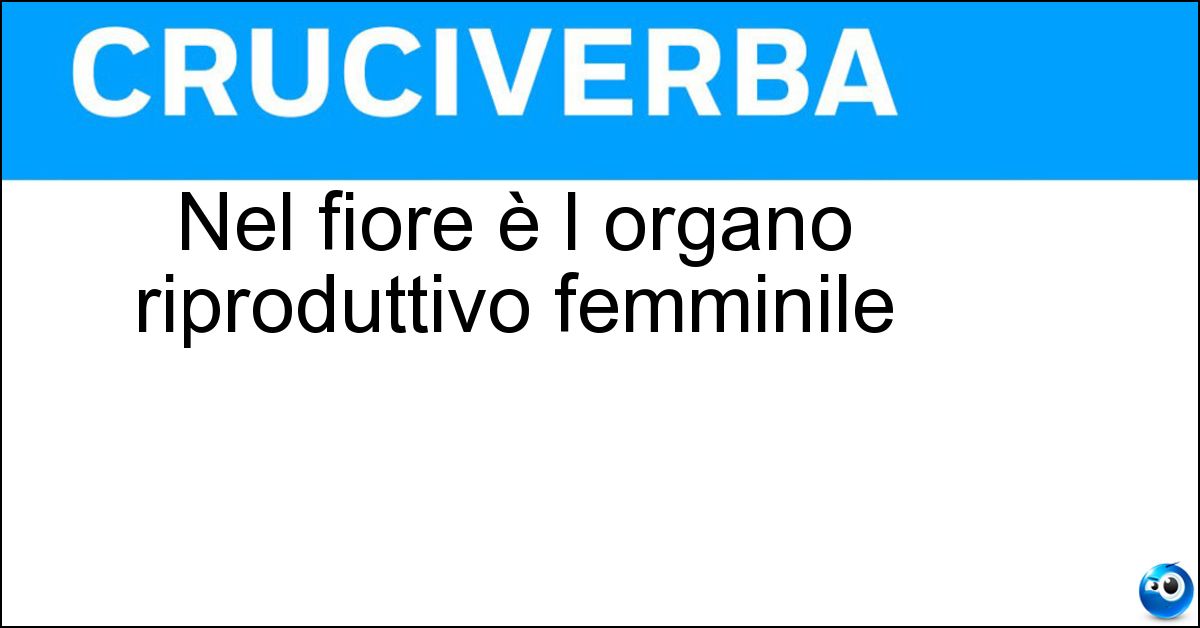 Nel fiore è l organo riproduttivo femminile Soluzione Nel fiore è l organo riproduttivo femminile - Pistillo