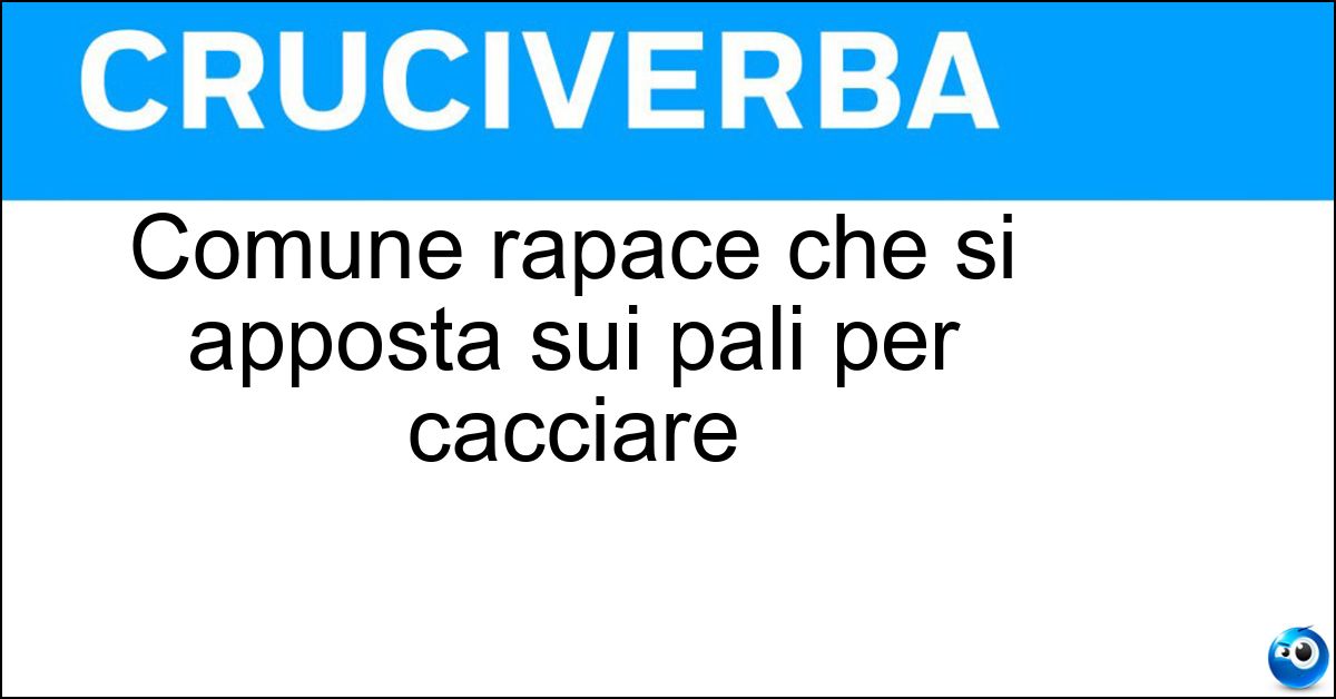 Comune rapace che si apposta sui pali per cacciare Soluzione Comune rapace che si apposta sui pali per cacciare - Poiana