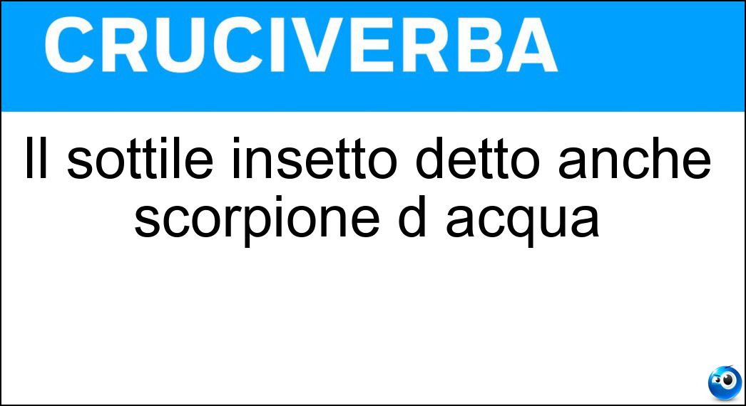 Il sottile insetto detto anche scorpione d acqua