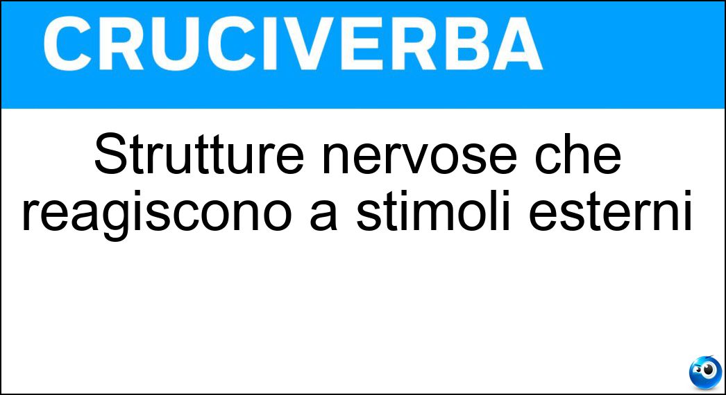 Strutture nervose che reagiscono a stimoli esterni Soluzione Cruciverba: Strutture nervose che reagiscono a stimoli esterni - Risposta Recettori