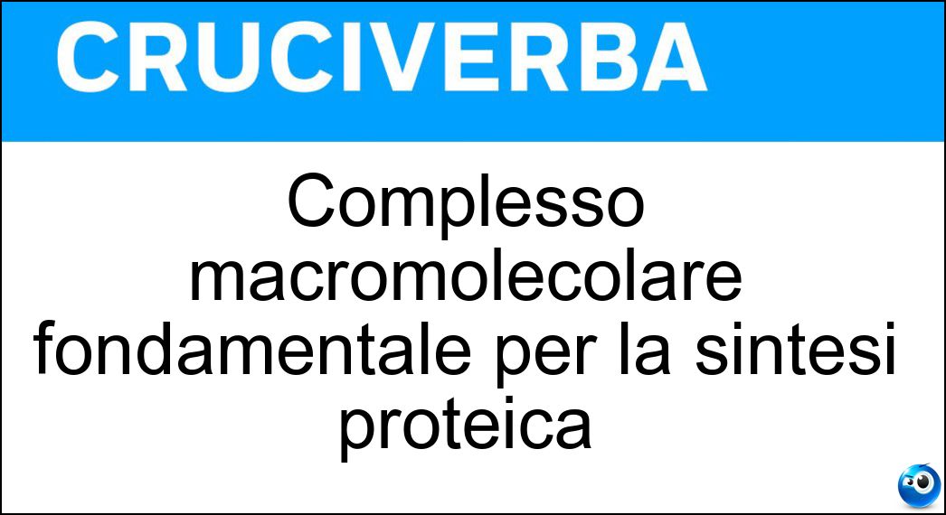 Soluzione Complesso macromolecolare fondamentale per la sintesi proteica - Ribosoma