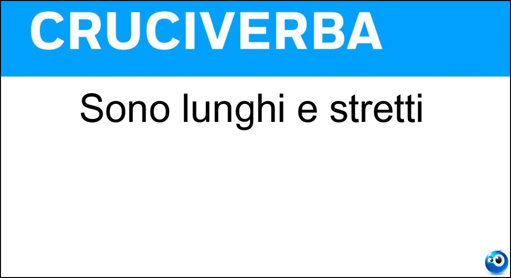 Sono lunghi e stretti Soluzione Sono lunghi e stretti - Sci