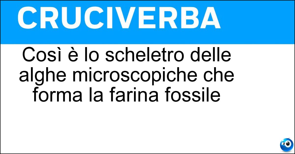 Così è lo scheletro delle alghe microscopiche che forma la farina fossile Soluzione Così è lo scheletro delle alghe microscopiche che forma la farina fossile - Siliceo