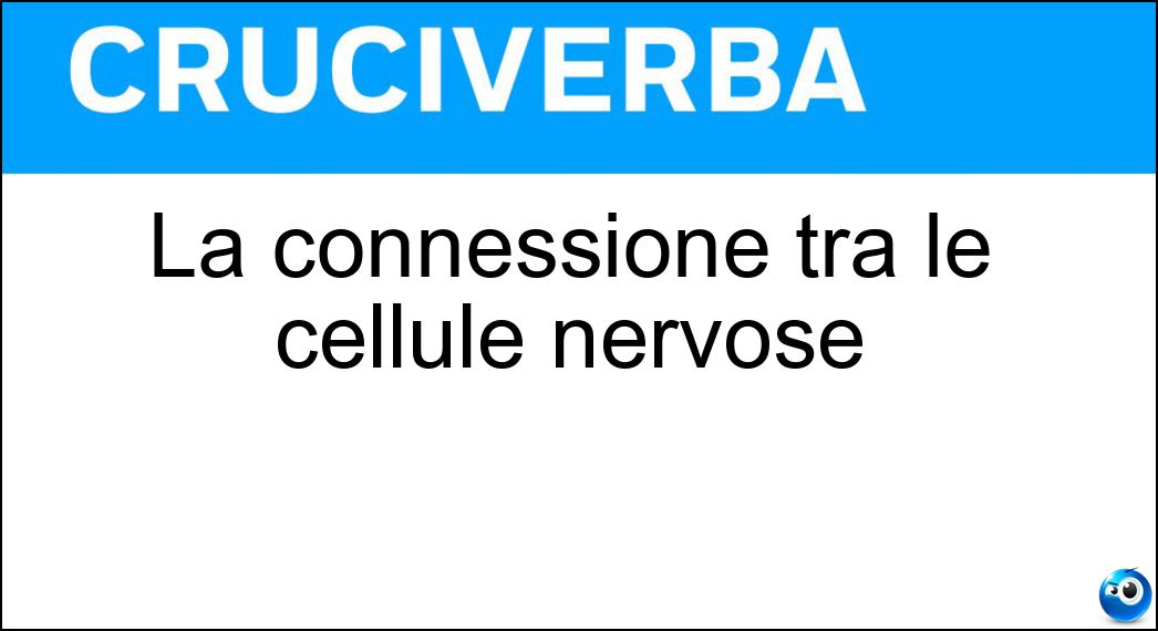 La connessione tra le cellule nervose Soluzione Cruciverba: La connessione tra le cellule nervose - Risposta Sinapsi