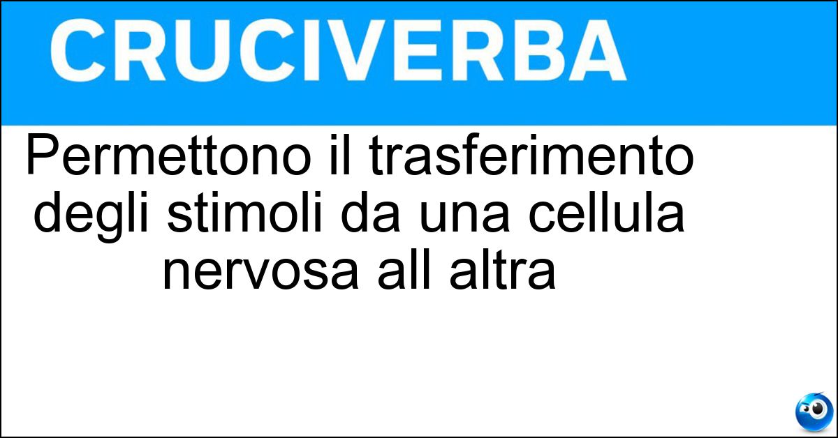 Permettono il trasferimento degli stimoli da una cellula nervosa all altra Permettono il trasferimento degli stimoli da una cellula nervosa all altra