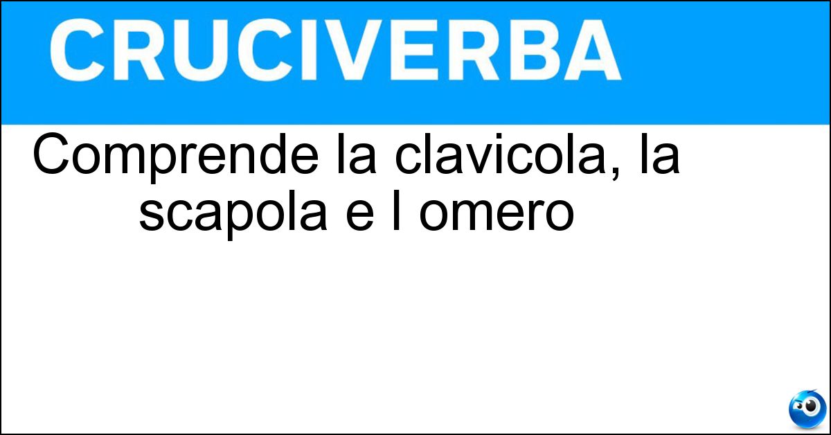 Soluzione Comprende la clavicola, la scapola e l omero - Spalla