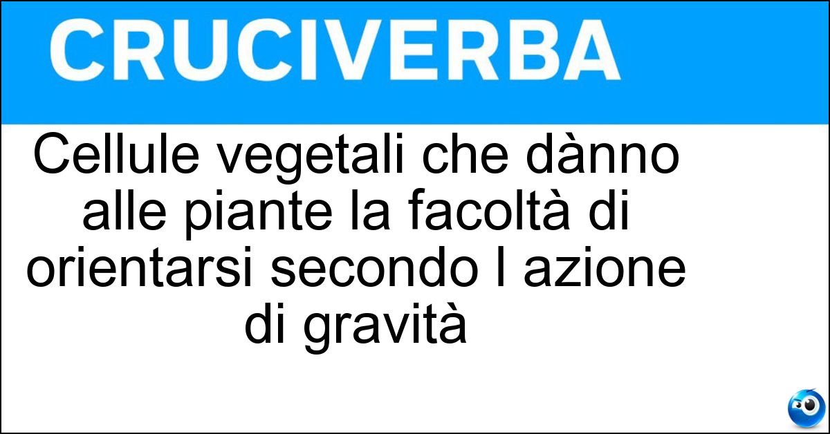 Cellule vegetali che dànno alle piante la facoltà di orientarsi secondo l azione di gravità Soluzione Cellule vegetali che dànno alle piante la facoltà di orientarsi secondo l azione di gravità - Statoliti