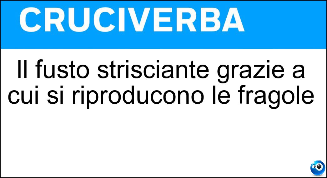 Il fusto strisciante grazie a cui si riproducono le fragole Soluzione Il fusto strisciante grazie a cui si riproducono le fragole - Stolone