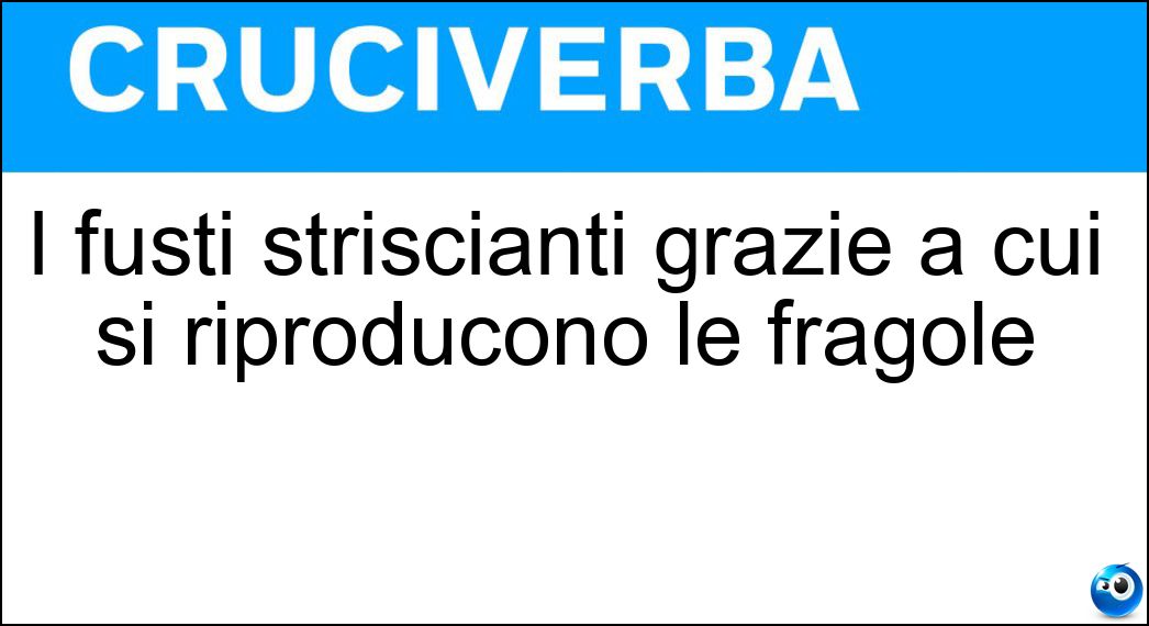 I fusti striscianti grazie a cui si riproducono le fragole