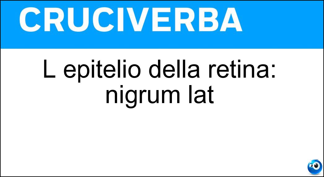 L epitelio della retina: nigrum lat Soluzione Cruciverba: L epitelio della retina: nigrum lat - Risposta Tapetum
