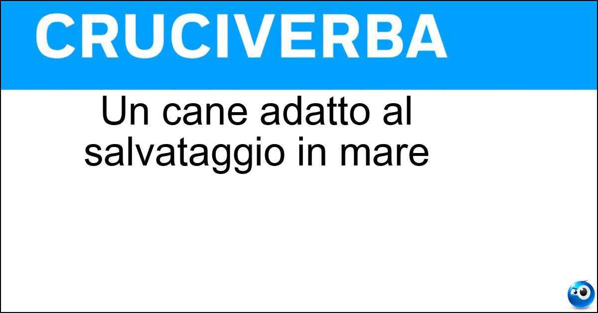 Soluzione Un cane adatto al salvataggio in mare - Terranova