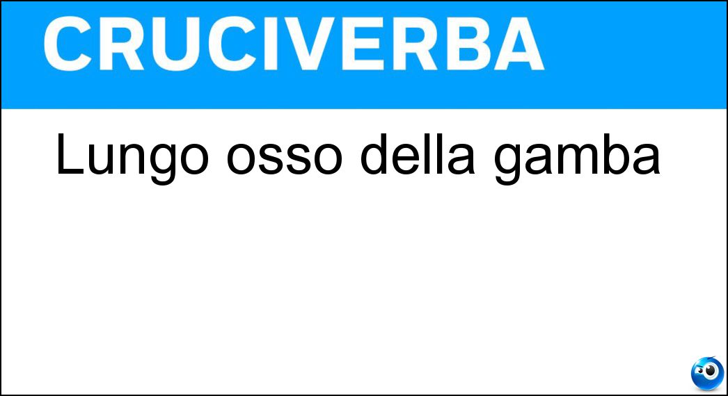 Lungo osso della gamba Soluzione Cruciverba: Lungo osso della gamba - Risposta Tibia