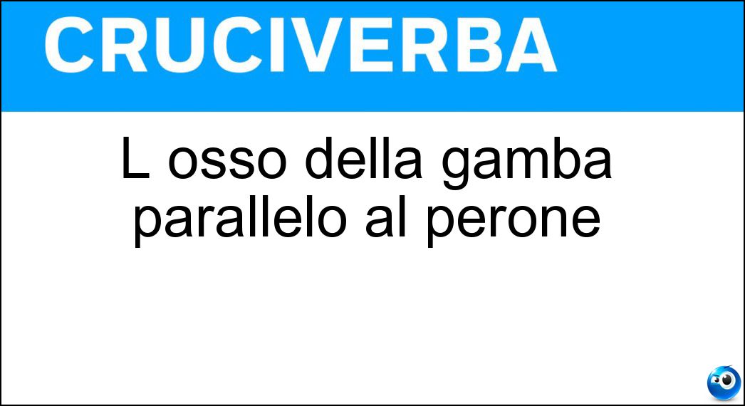 L osso della gamba parallelo al perone Soluzione Cruciverba: L osso della gamba parallelo al perone - Risposta Tibia