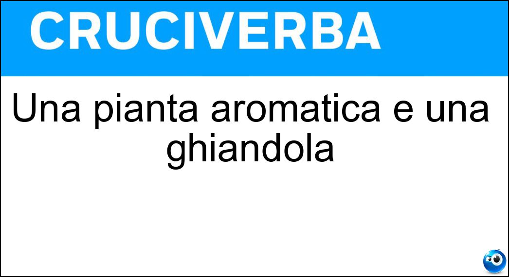 Una pianta aromatica e una ghiandola