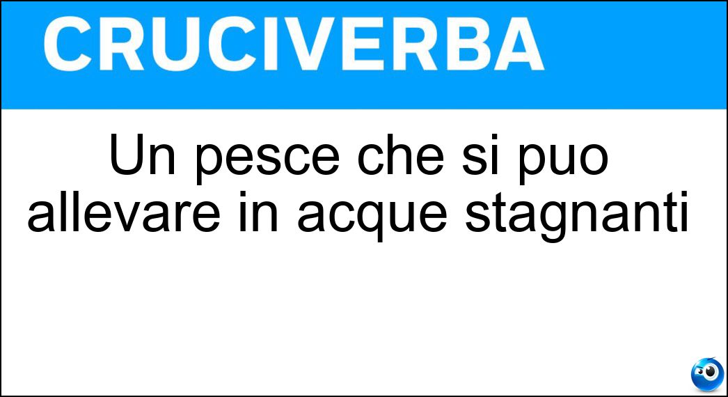 Un pesce che si può allevare in acque stagnanti