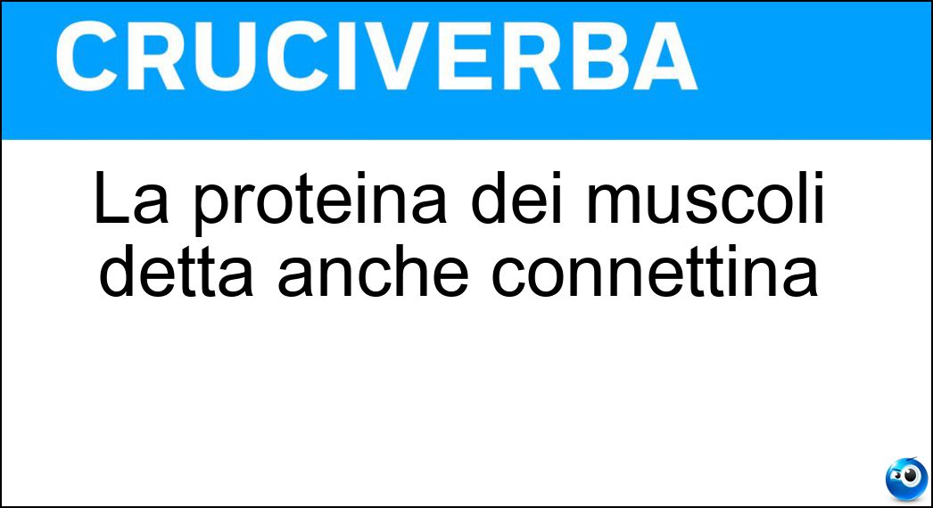 La proteina dei muscoli detta anche connettina Soluzione Cruciverba: La proteina dei muscoli detta anche connettina - Risposta Titina
