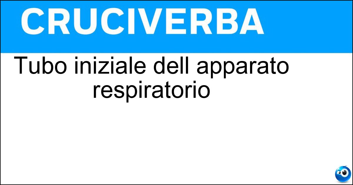 Soluzione Tubo iniziale dell apparato respiratorio - Trachea