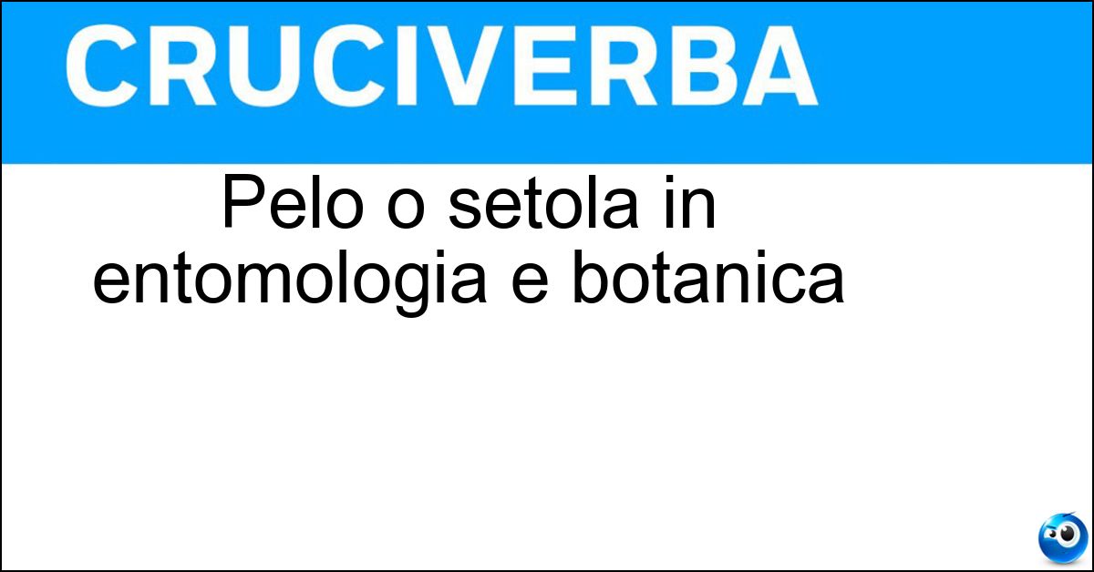 Pelo o setola in entomologia e botanica Soluzione Pelo o setola in entomologia e botanica - Tricoma
