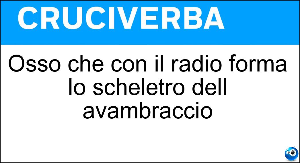 osso radio