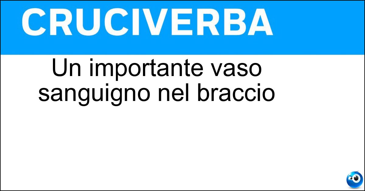 Un importante vaso sanguigno nel braccio Un importante vaso sanguigno nel braccio