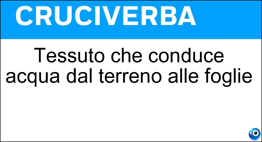 Tessuto che conduce acqua dal terreno alle foglie Soluzione Cruciverba: Tessuto che conduce acqua dal terreno alle foglie - Risposta Xilema