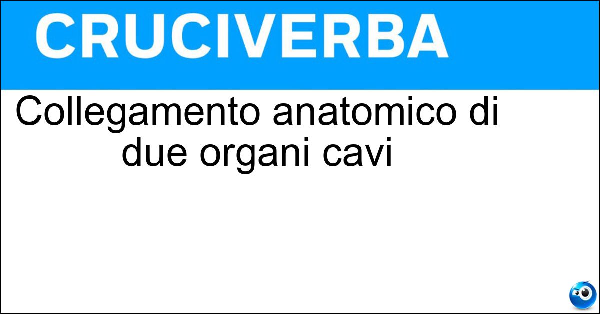 Collegamento anatomico di due organi cavi Collegamento anatomico di due organi cavi