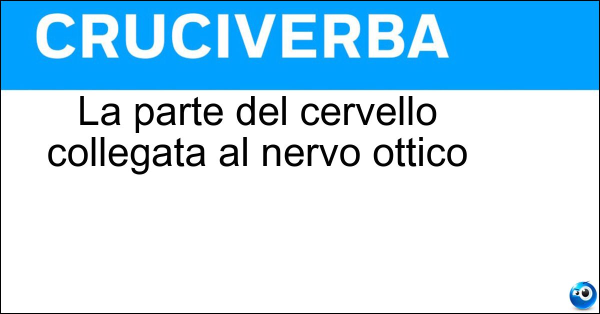 La parte del cervello collegata al nervo ottico La parte del cervello collegata al nervo ottico