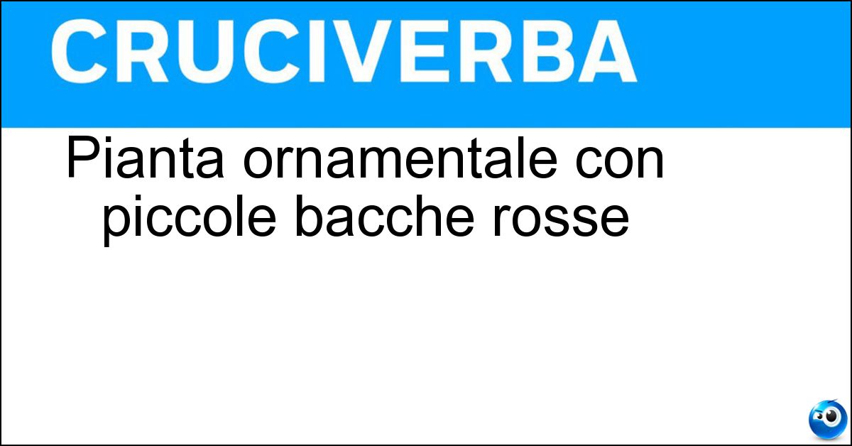 Pianta ornamentale con piccole bacche rosse Pianta ornamentale con piccole bacche rosse