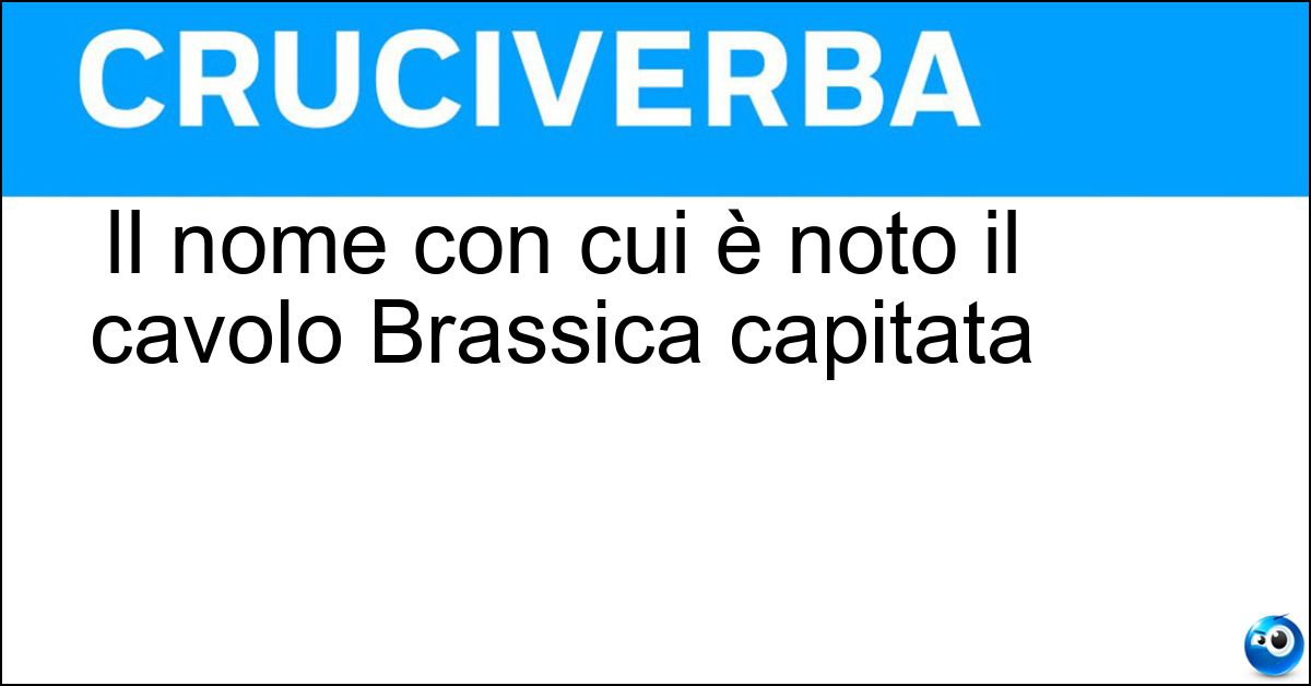 Il nome con cui è noto il cavolo Brassica capitata Il nome con cui è noto il cavolo Brassica capitata