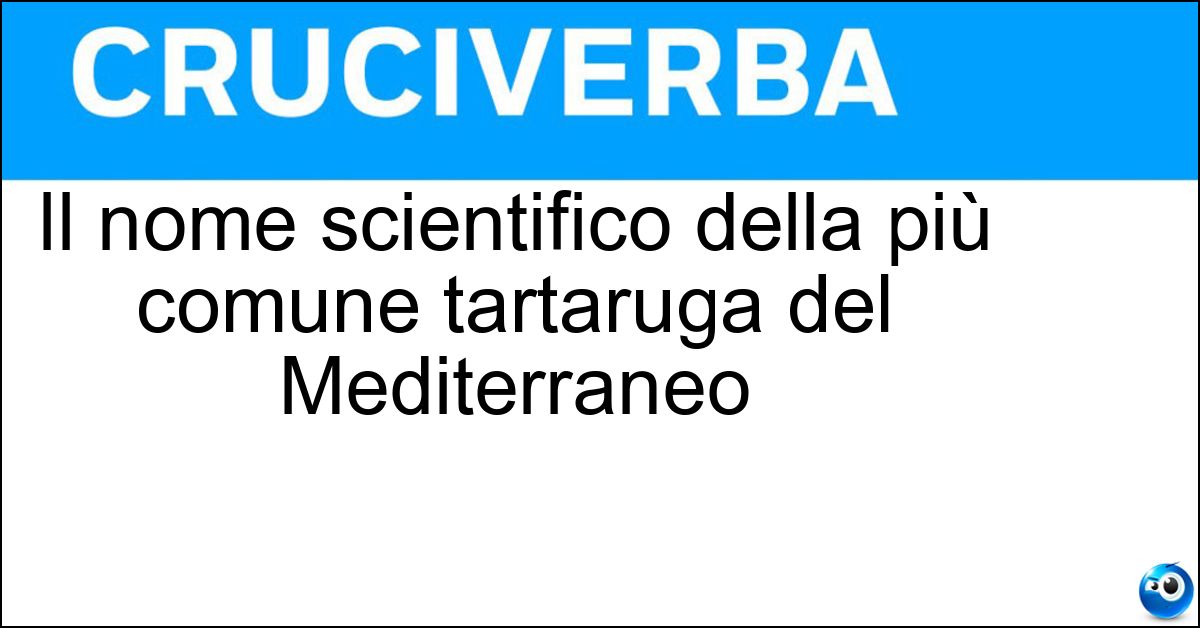 Il nome scientifico della più comune tartaruga del Mediterraneo Il nome scientifico della più comune tartaruga del Mediterraneo