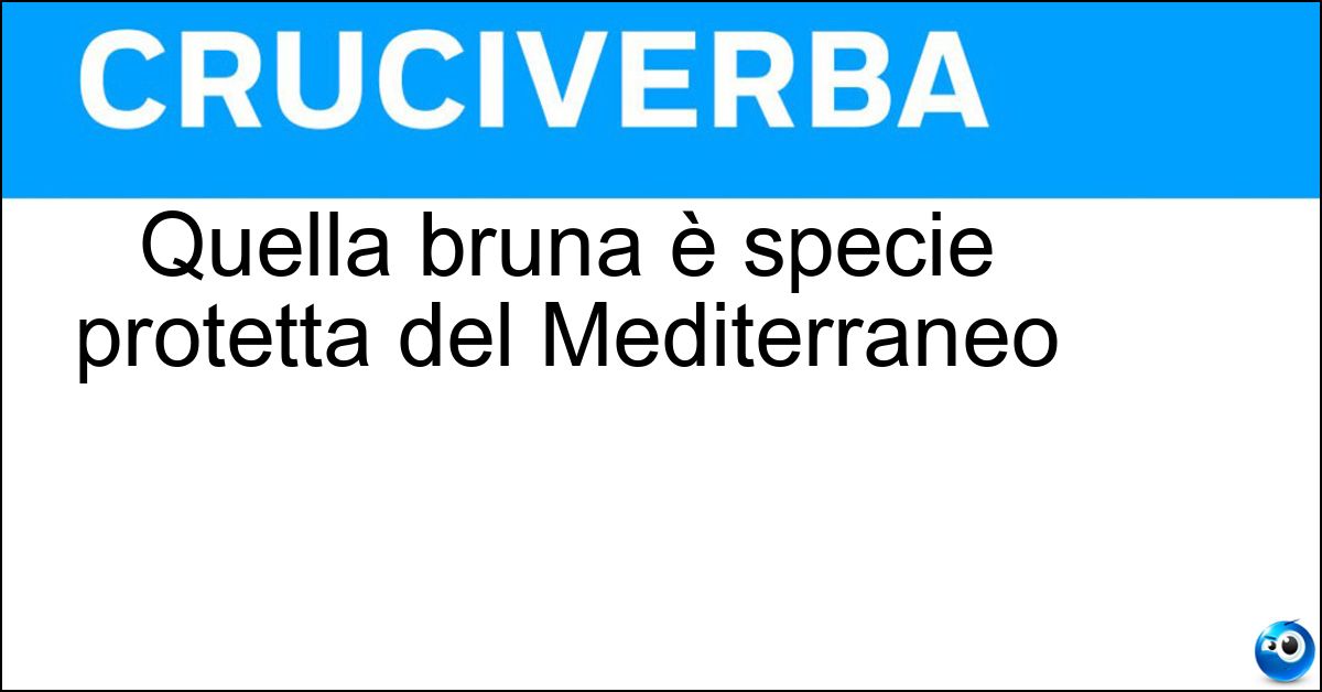 Quella bruna è specie protetta del Mediterraneo