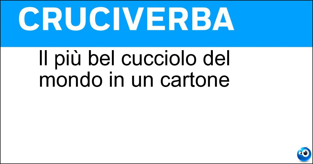 Il più bel cucciolo del mondo in un cartone Il più bel cucciolo del mondo in un cartone