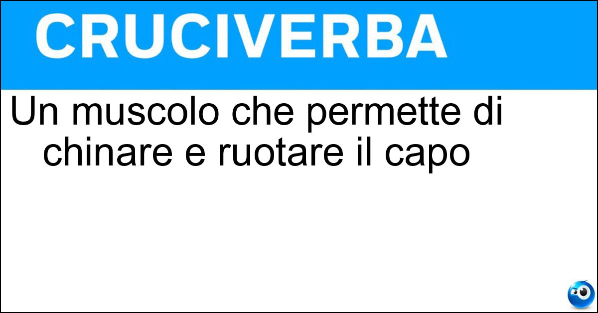 Un muscolo che permette di chinare e ruotare il capo Un muscolo che permette di chinare e ruotare il capo